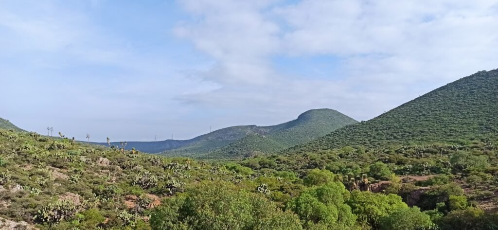 Paisaje natural en Zaragoza San Luis Potosí con cerros, vegetación y cielo despejado