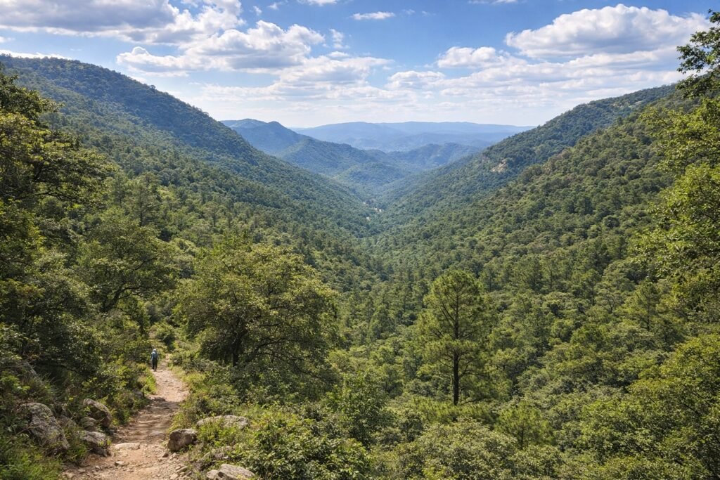 Sierra de Álvarez Zaragoza SLP paisaje natural